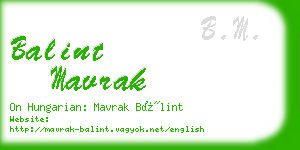 balint mavrak business card